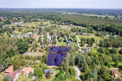 Plot Sale Zalesie Górne